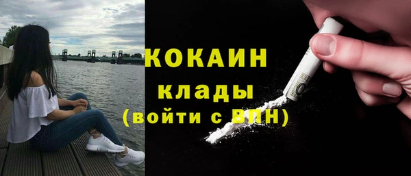 дмт Осинники